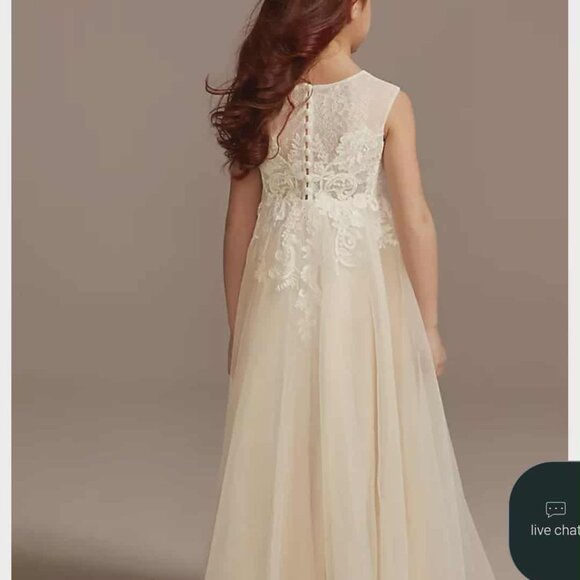 Flower GirI- Ivory Lace Tulle Wedding Dress – Sleeveless Floral Appliqué - Picture 2 of 12